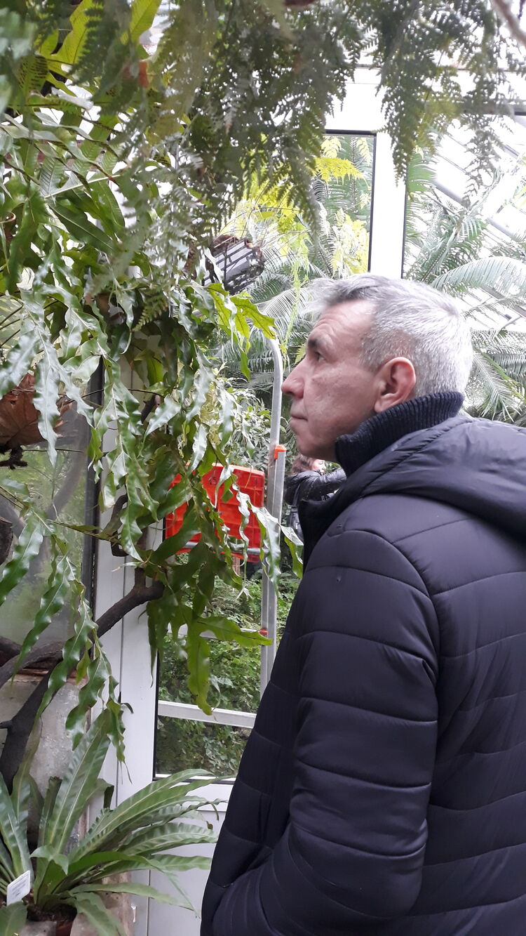 ���������� �����-���������, ���� ������� �������, 51 ���, ������������ ��� ������, ����� � ���������