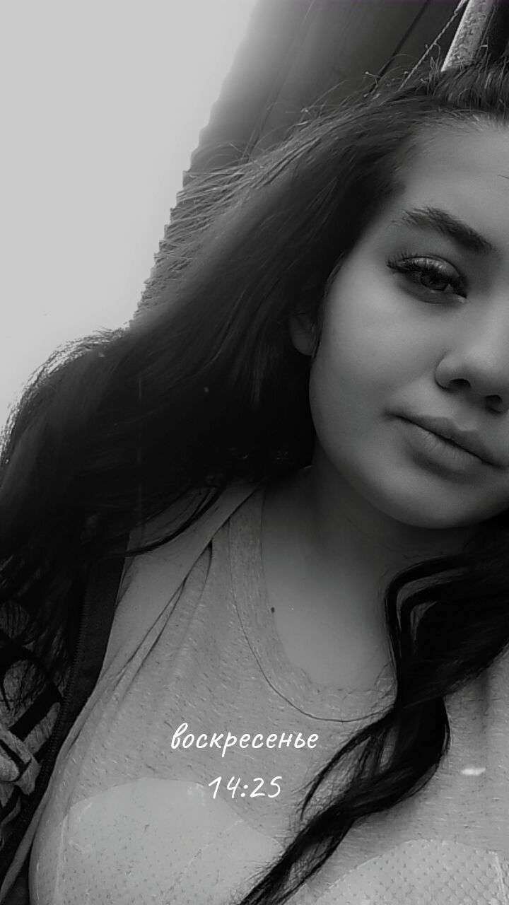  43825538  , 20 ,    