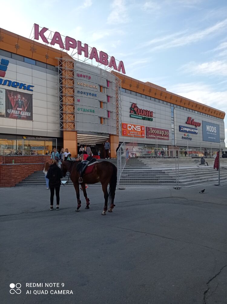 ���������� ������������, ���� ������� �����, 32 ����, ������������ ��� ������, ����� � ���������