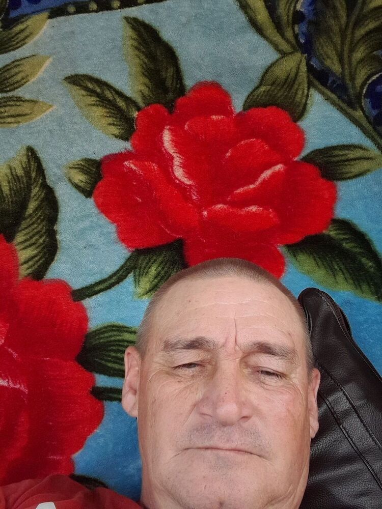  43629618  , 53 ,    