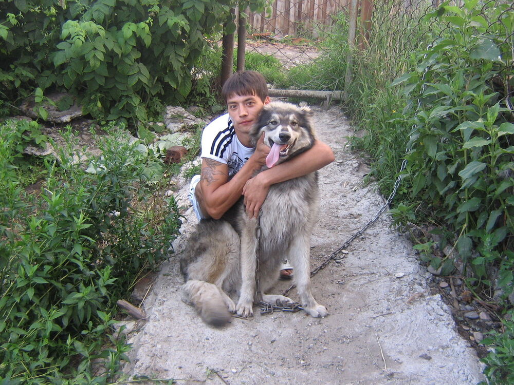 ���� 6667868 ������� ������, 36 ���, ���� ���������� � ��������