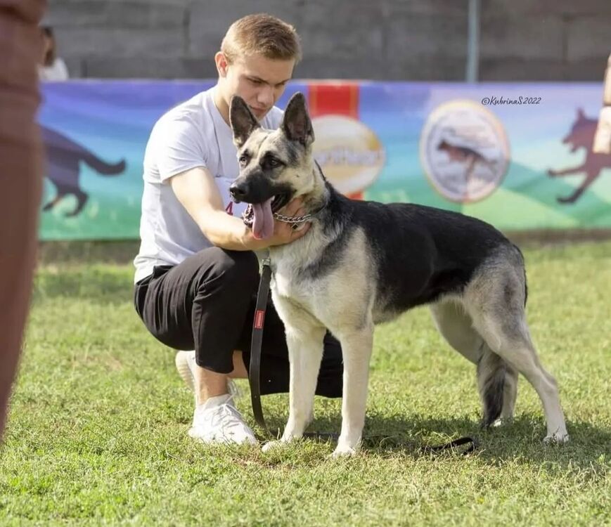 ���� 35502718 ������� �������, 28 ���, ���� ���������� � ������