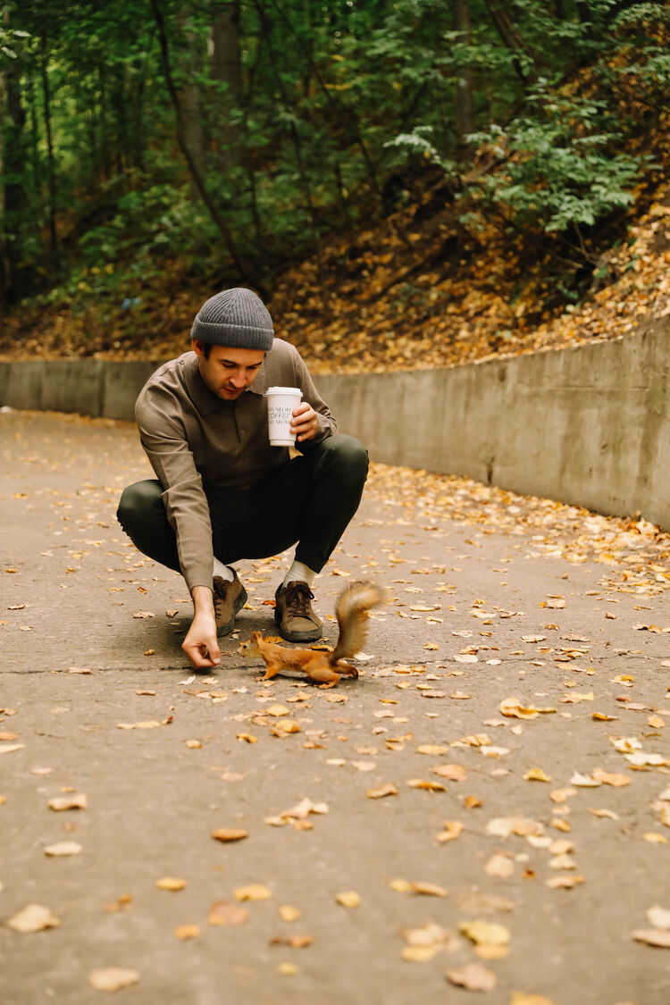 ���� 37653848 ������� ������, 35 ���, ���� ���������� � ���������� ������