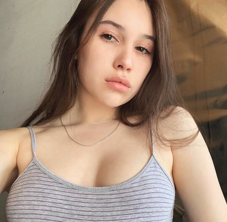  23131588  , 26 ,    