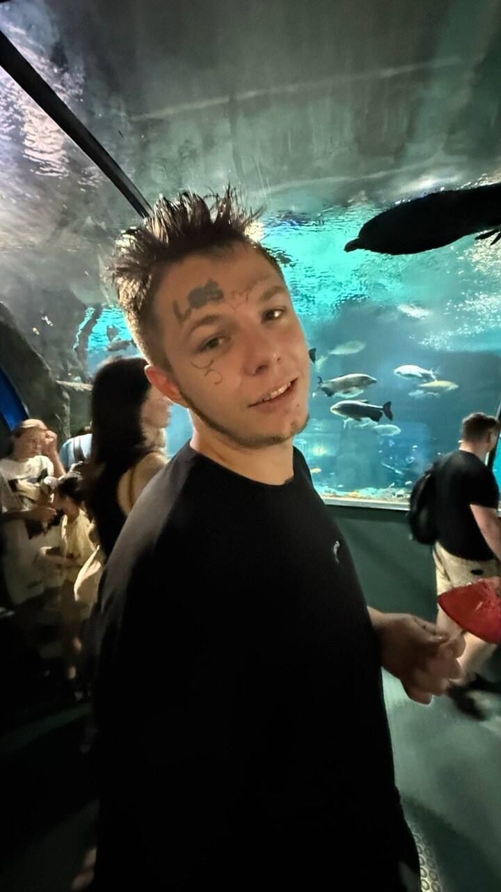  54553228  , 30 ,    -