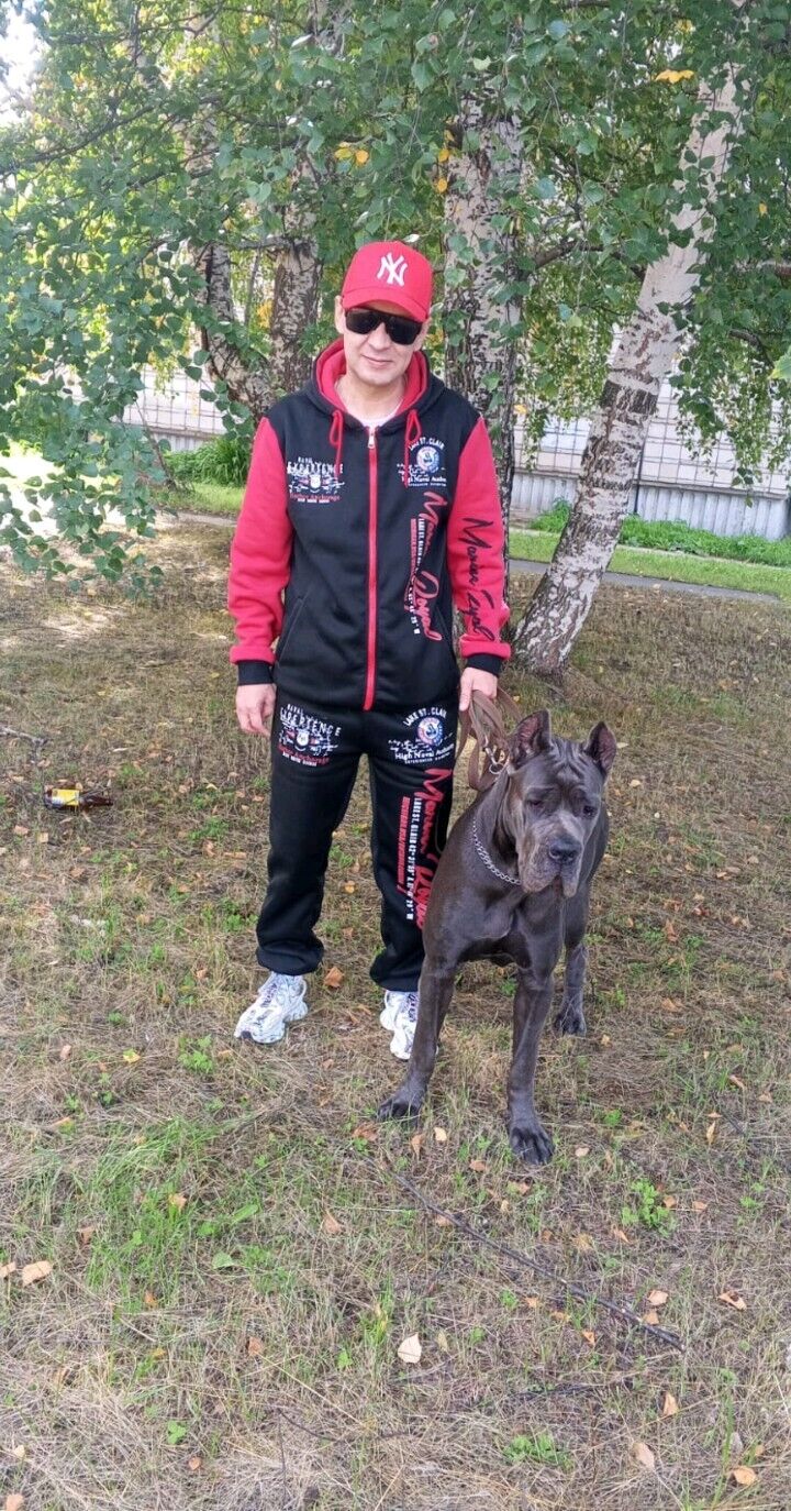 ���������� ������������, ���� ������� ������, 44 ����, ������������ ��� ������, ����� � ���������