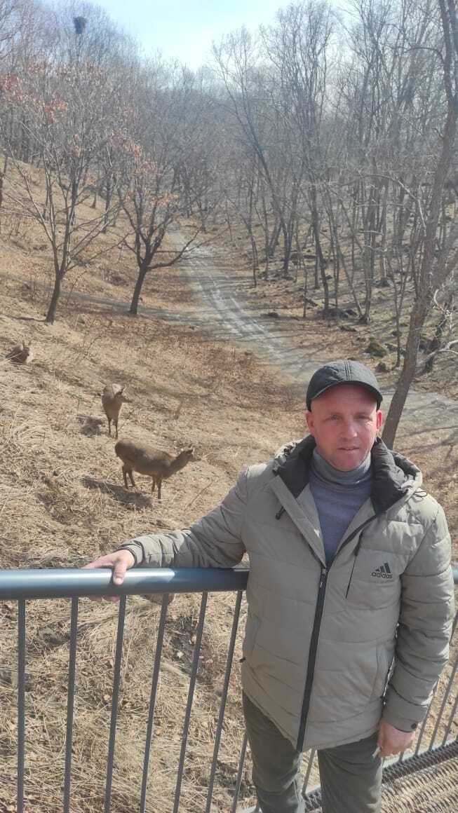  ,   , 43 ,   