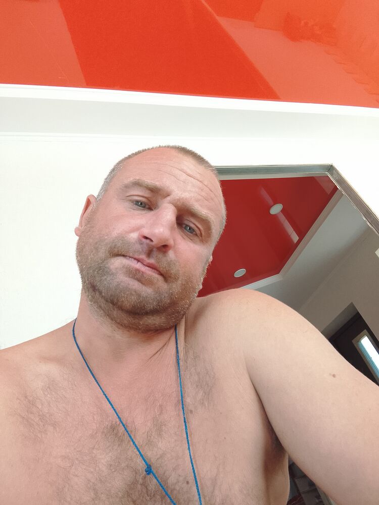  37863988  , 41 ,    