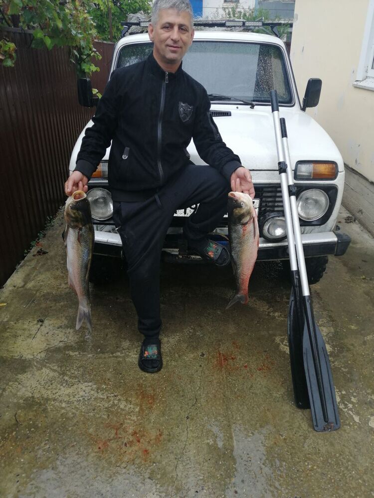 ���� 35709328 ������� �������, 33 ����, ���� ���������� � �����������