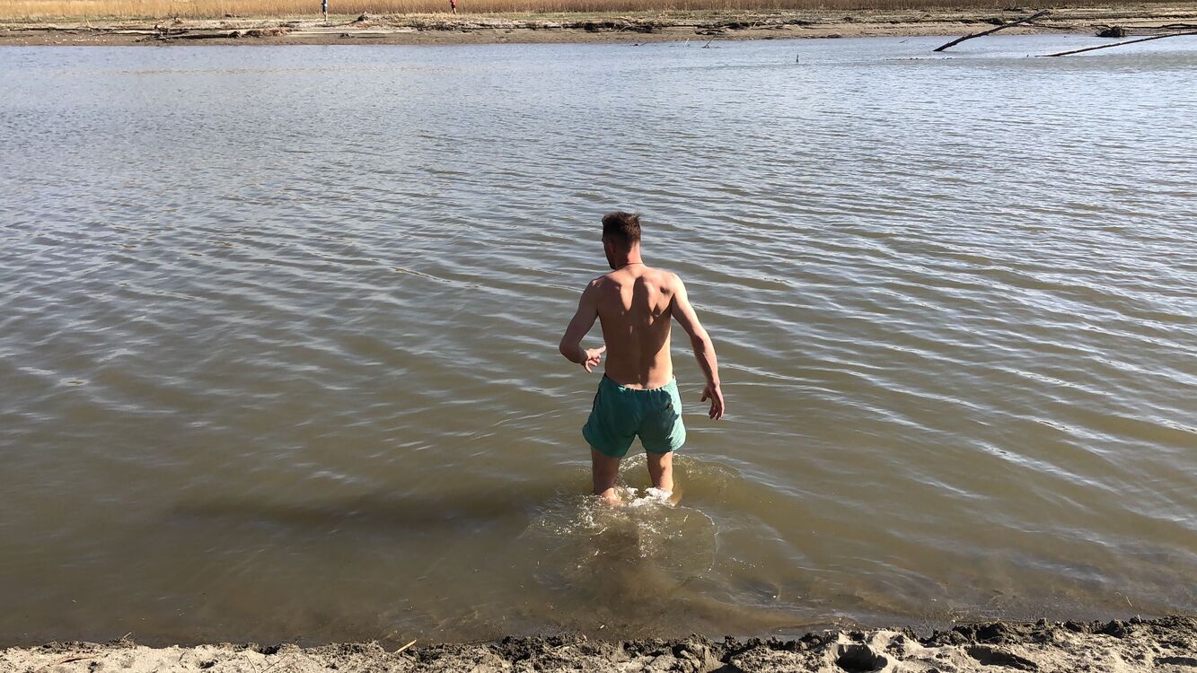 ���� 39915218 ������� ���������, 40 ���, ���� ���������� � ��������