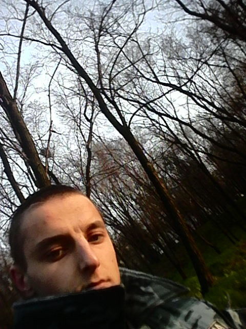  ,   , 31 ,   