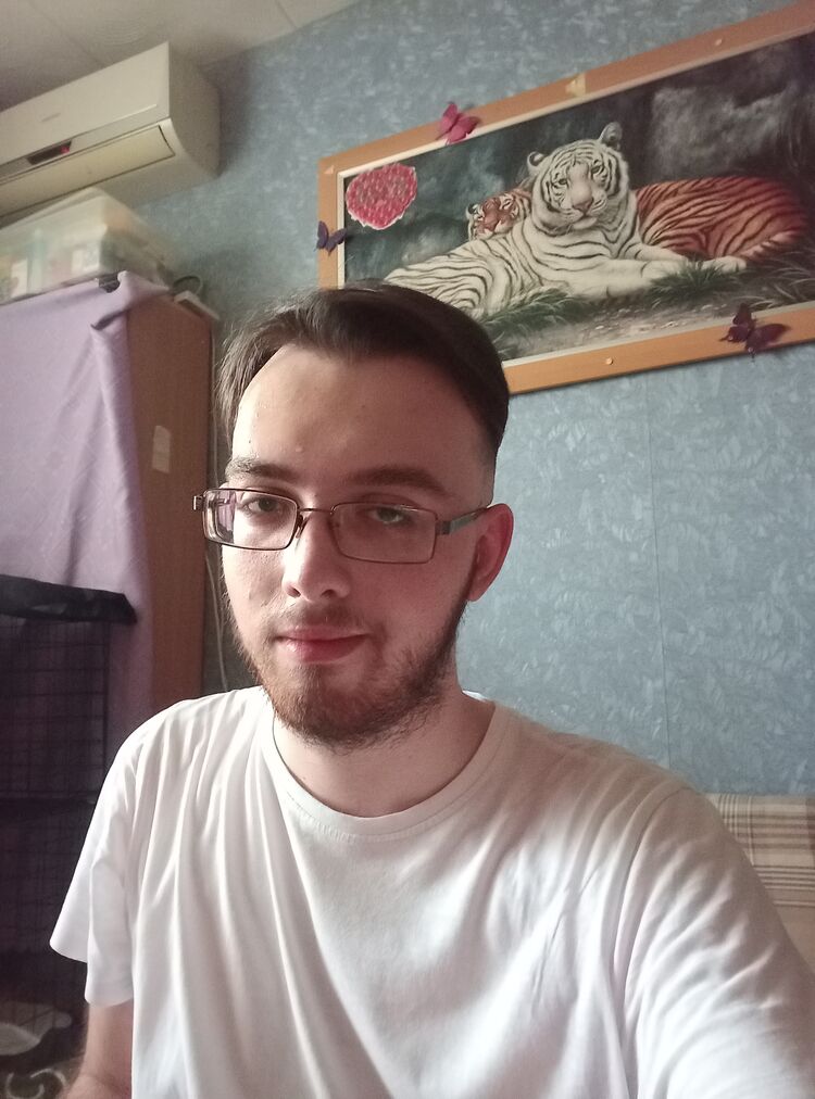  53526508  , 24 ,    --