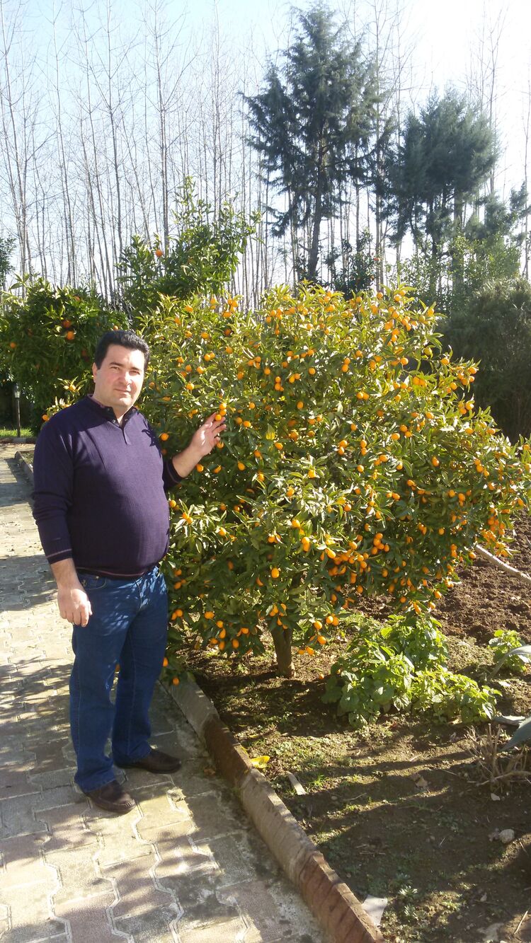  ,   Arash, 47 ,   ,   