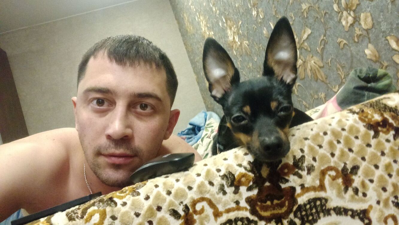  33239438  Dmitriy, 37 ,    