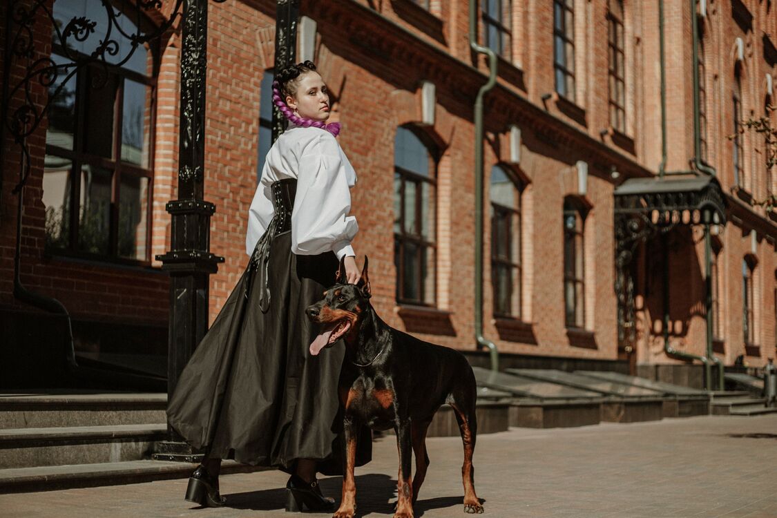 ���������� ������, ���� ������� ˸��, 20 ���, ������������ ��� ���������