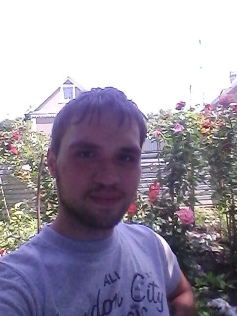  -,   , 28 ,   ,   , c 