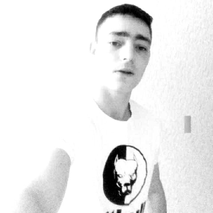 ���� 44602438 ������� ������, 29 ���, ���� ���������� � �����������