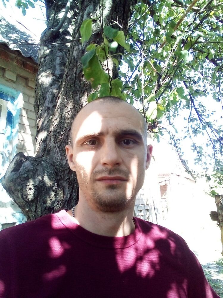  28834228  , 37 ,    