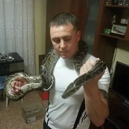 ���������� ������ ���, ���� ������� ������, 40 ���, ������������ ��� ������, ����� � ���������, ���������