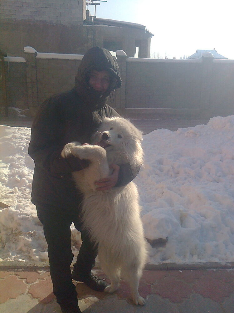 ���� 5360978 ������� �������, 34 ����, ���� ���������� � ������