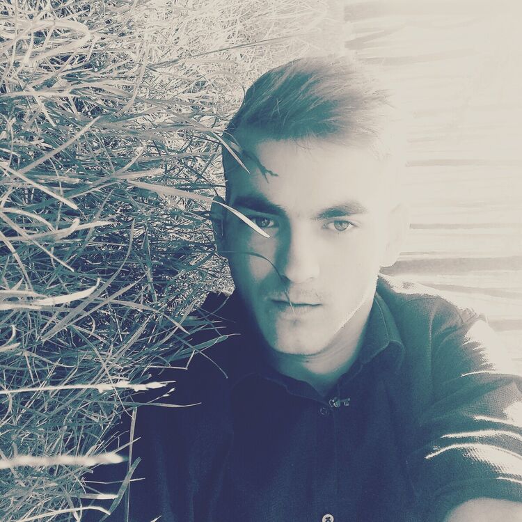 ���������� ����, ���� ����� ���������, 24 ����, ������������ ��� ������, ����� � ���������, c�������� ���������