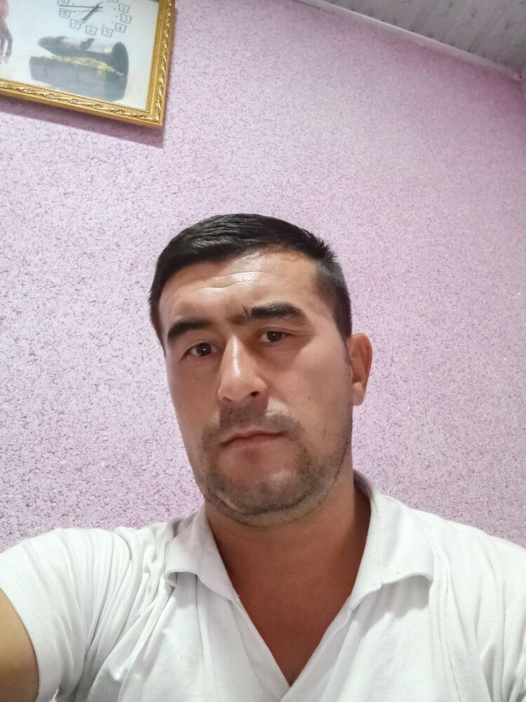  49390238  , 32 ,    