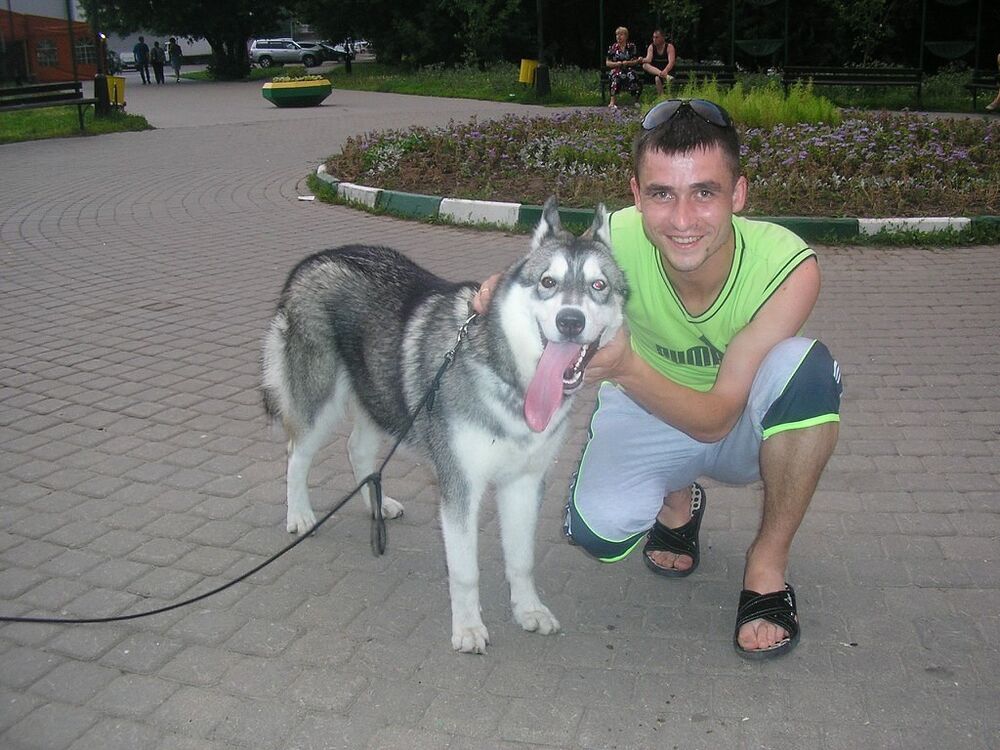 ���������� ������, ���� ������� Ruslan, 39 ���, ������������ ��� ������, ����� � ���������, c�������� ���������