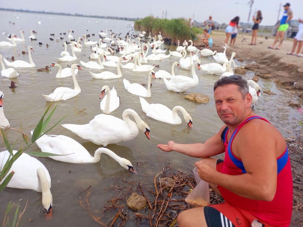 ���������� ������ ��������, ���� ������� ������, 46 ���, ������������ ��� ����� � ���������, c�������� ���������