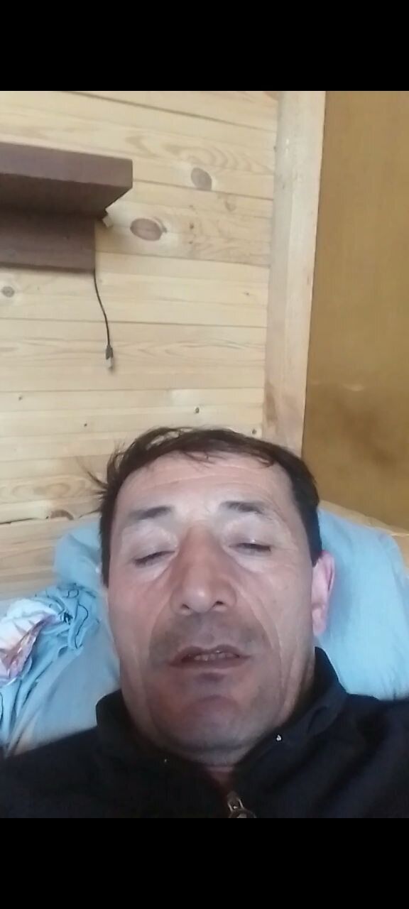  52861468  , 43 ,    
