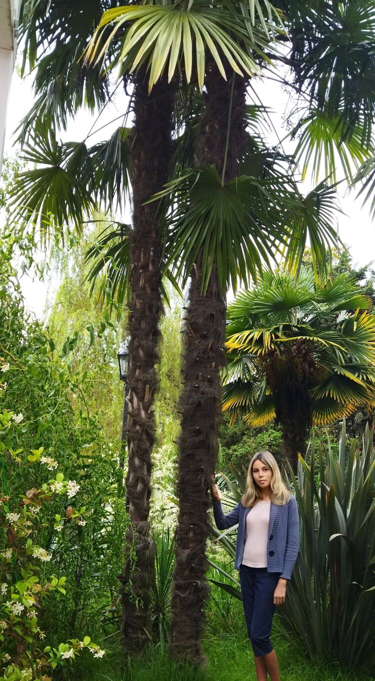 ���� 55001088 ������� �����, 40 ���, ���� ���������� � ����������