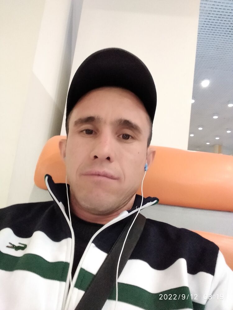  31842088  , 31 ,    