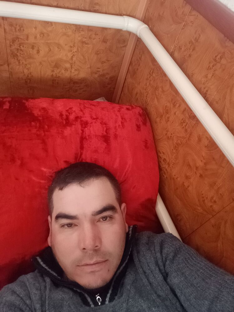  49132288  , 39 ,    