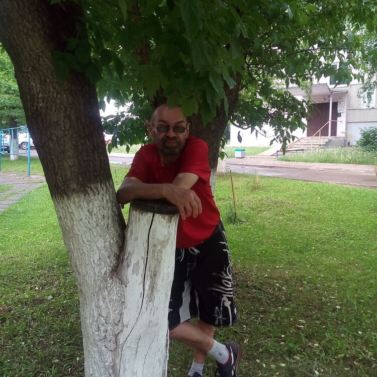 ���������� ���������� �����, ���� ������� ����, 50 ���, ������������ ��� ������, ����� � ���������, c�������� ���������, ���������