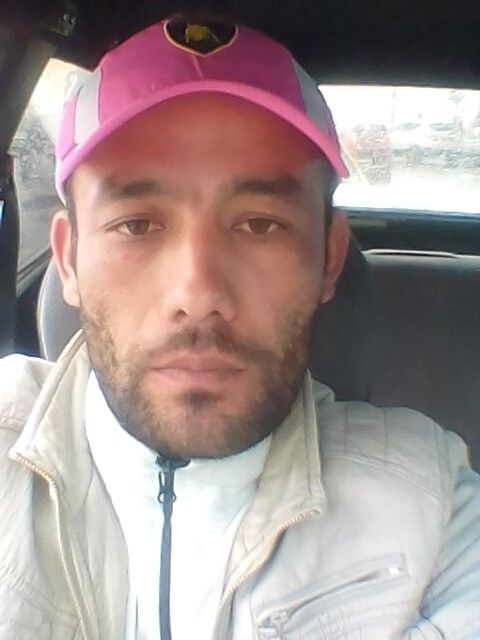  16008908  , 38 ,    