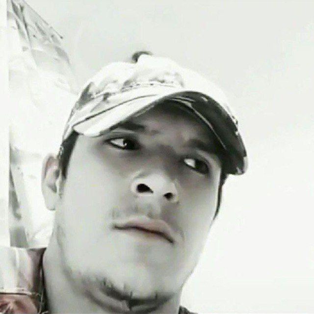  41399888  , 29 ,    