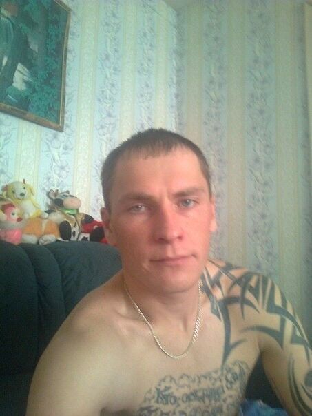  9955178  , 40 ,    