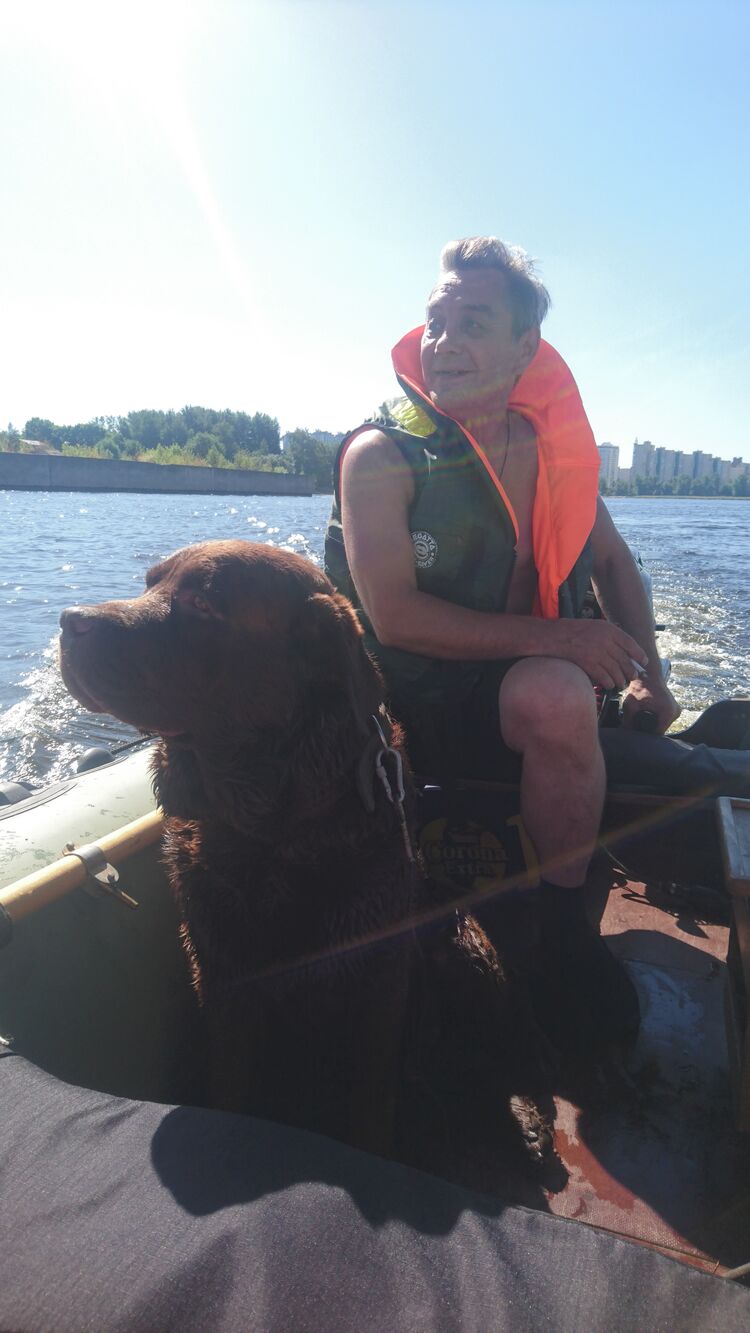  43653288  , 59 ,    -