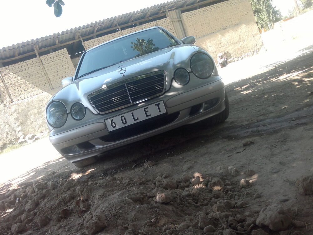  4106608  Elaman, 33 ,    