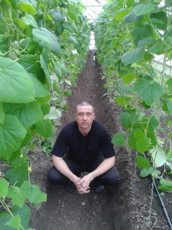 ���������� ��������, ���� ������� �������, 47 ���, ������������ ��� ������, ����� � ���������, c�������� ���������