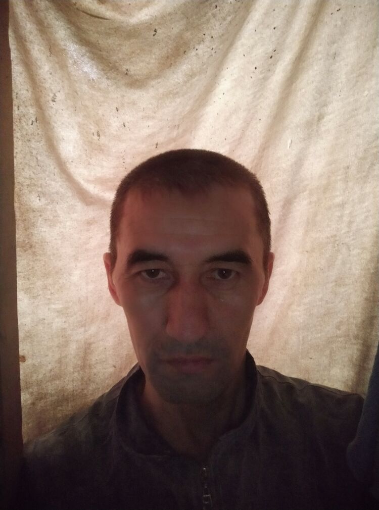  45968438  , 43 ,    