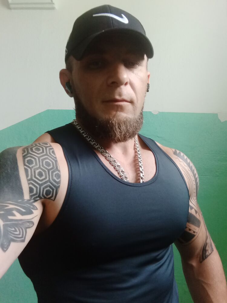  46218638  , 38 ,    