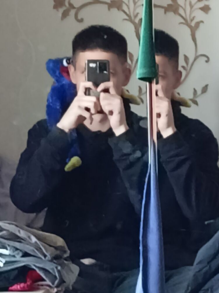  29482628  , 21 ,    