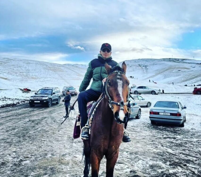 ���� 34172478 ������� King, 26 ���, ���� ���������� � �������