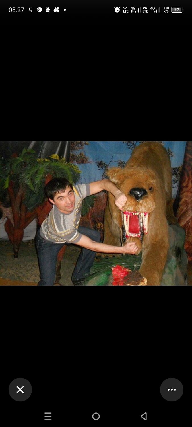 ���� 55514018 ������� ���, 46 ���, ���� ���������� � �����������