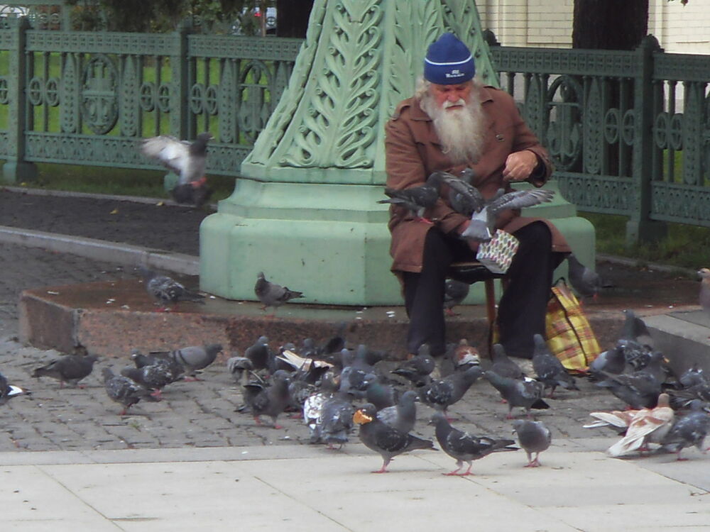 ���� 5297668 ������� ����������, 45 ���, ���� ���������� � �����-����������