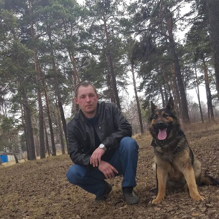 ���������� �������, ���� ������� �������, 44 ����, ������������ 