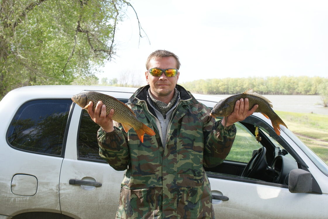 ���� 10190358 ������� �������, 48 ���, ���� ���������� � ����������