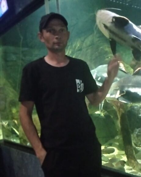 ���������� ������, ���� ������� �������, 37 ���, ������������ ��� ������, ����� � ���������, c�������� ���������, ���������