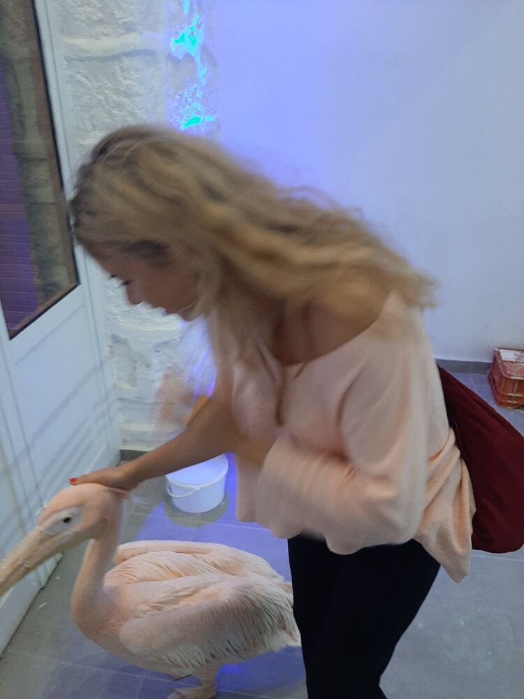  Porto Cervo,   Kira, 36 ,     , c 