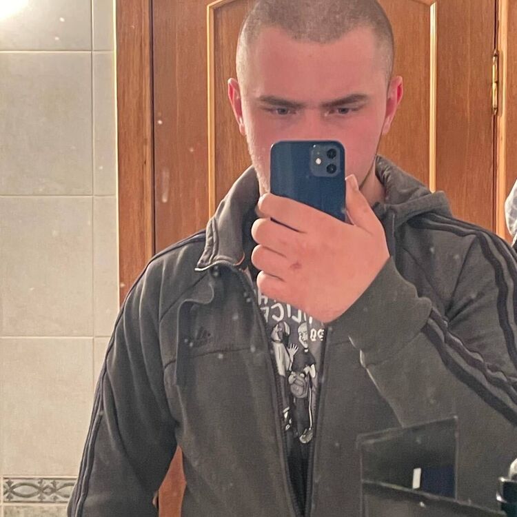  43981388  , 20 ,    
